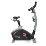 Flow Fitness TURNER DHT2000i Upright Bike